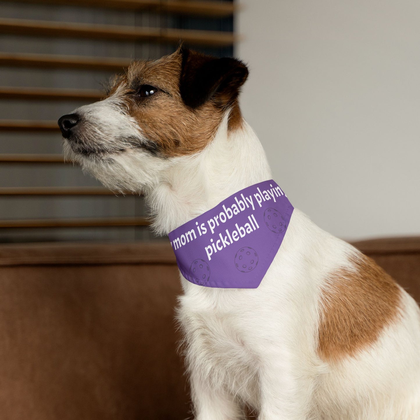 Pet Bandana Collar